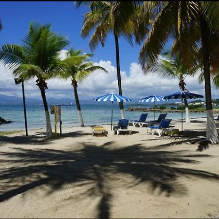 Superbe T2 vue mer&accès plage Le Gosier  Extérieur photo