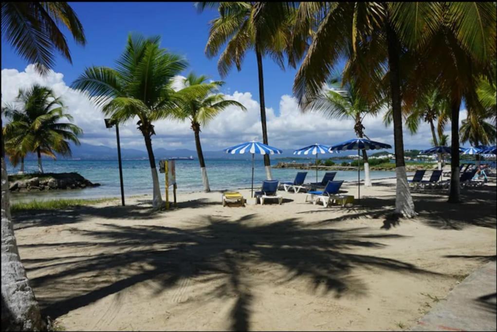 Superbe T2 vue mer&accès plage Le Gosier  Extérieur photo